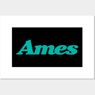 Ames Department Store Posters and Art